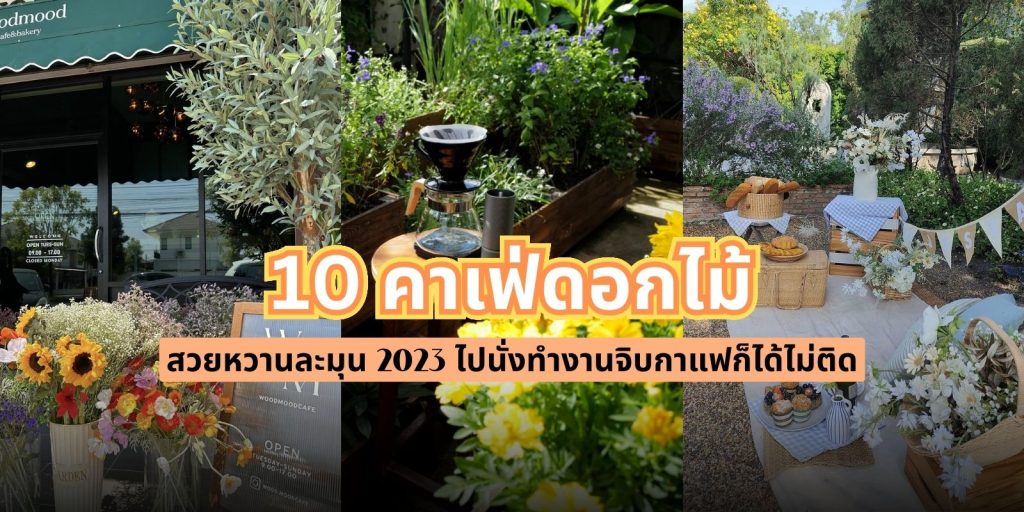 คาเฟ่ดอกไม้