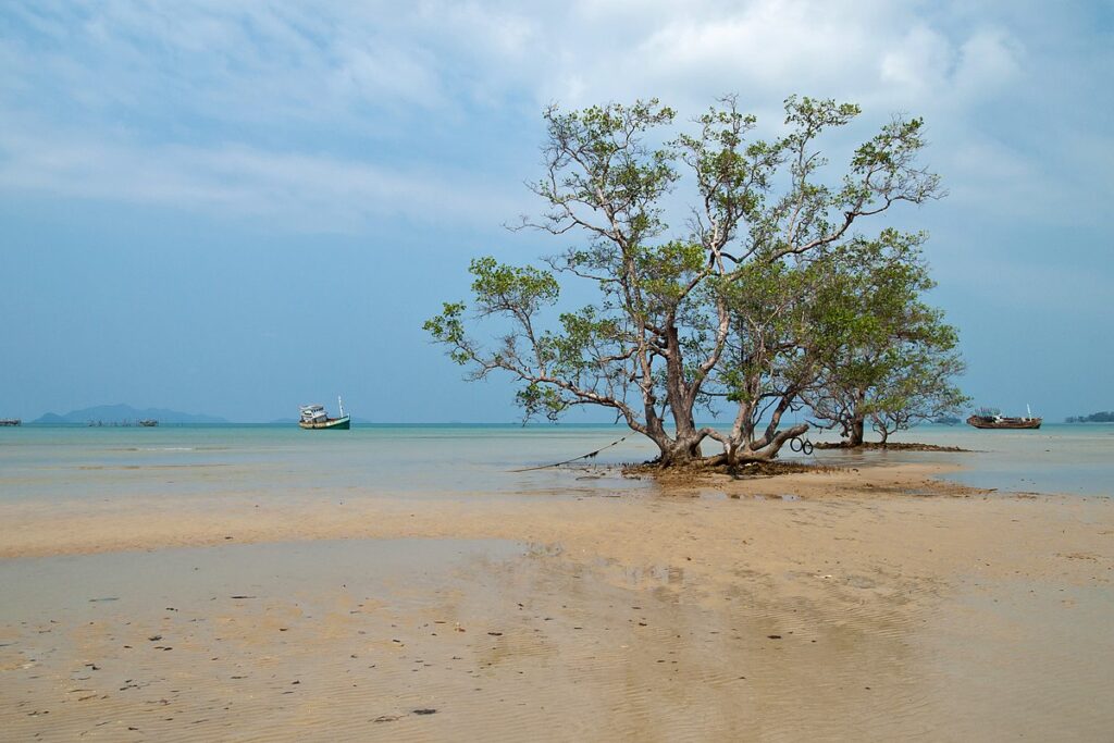 เกาะหมาก สถานที่พักตากอากาศยอดนิยมอีกแห่งของจังหวัดตราด