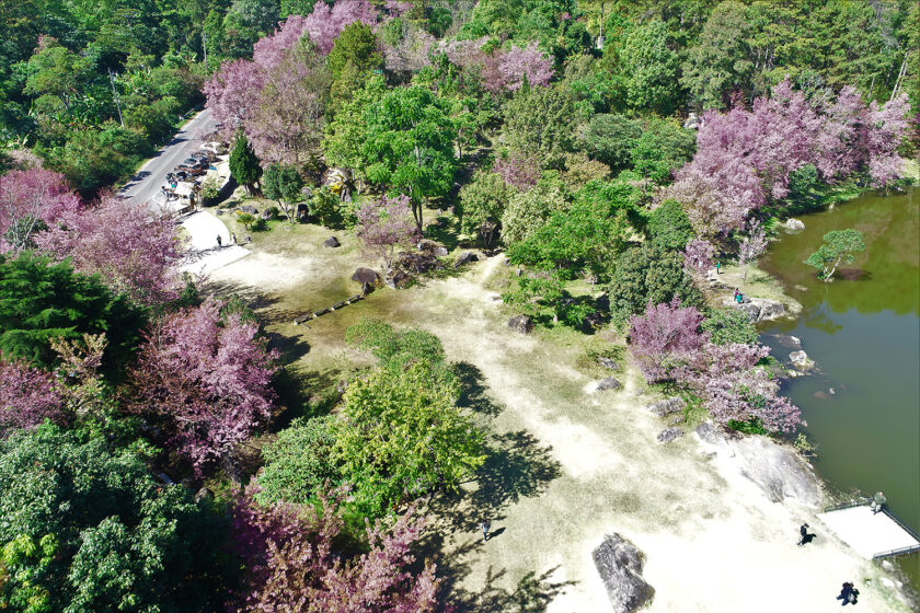 ศูนย์อนุรักษ์พันธุ์กล้วยไม้รองเท้านารี อินทนนท์