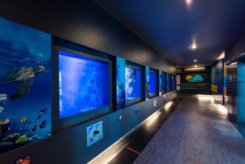 ศูนย์อนุรักษ์พันธุ์ทะเลกองทัพเรือ สัตหีบ