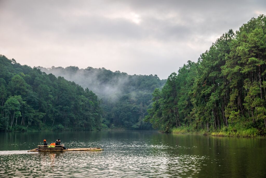 สวนป่าตามพระราชดําริปางตอง 2 (ปางอุ๋ง)