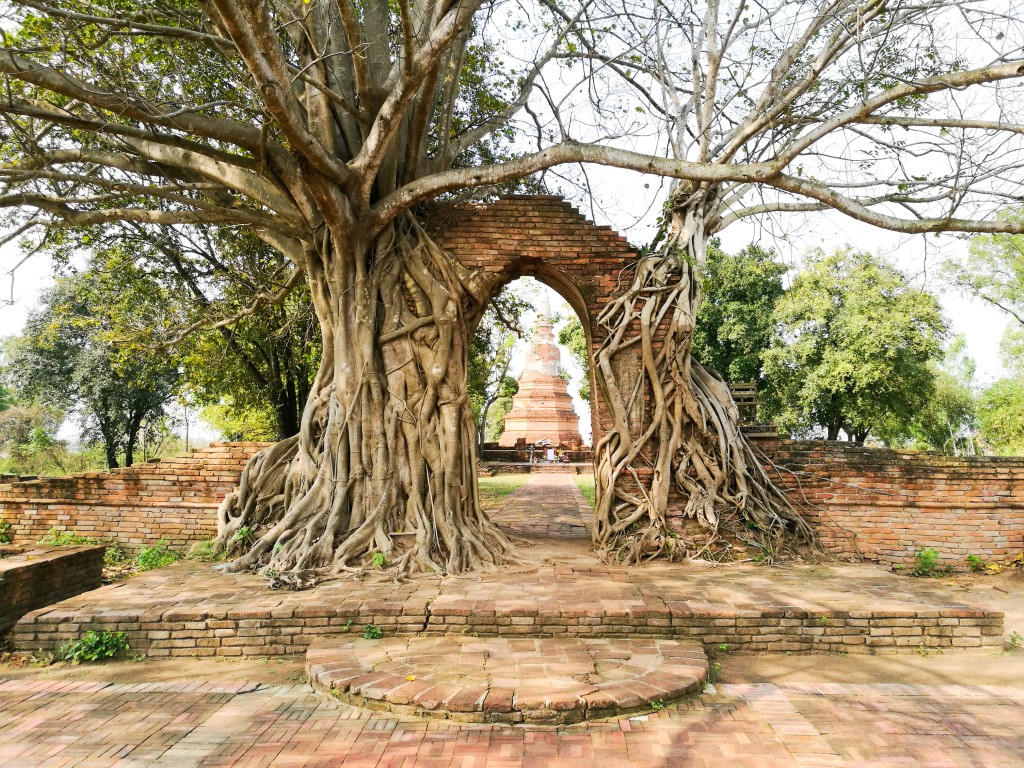 วัดพระงาม 