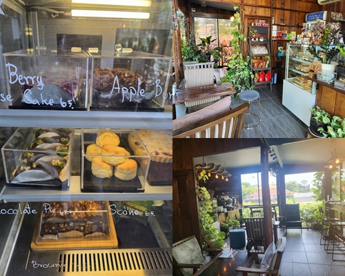 Mulberry House & Homestay Cafe