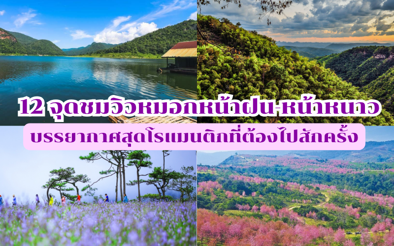 จุดชมวิวหมอก