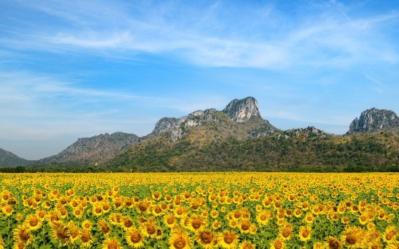 เส้นทางกรุงเทพ-ลพบุรี