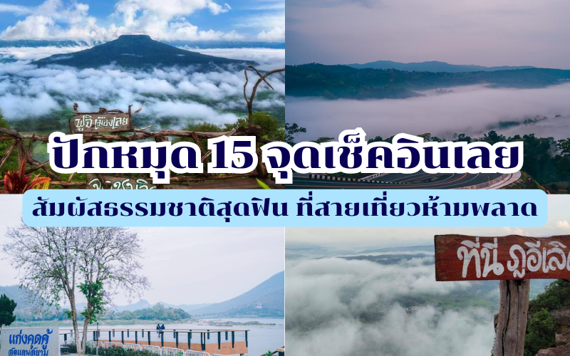 จุดเช็คอินเลย